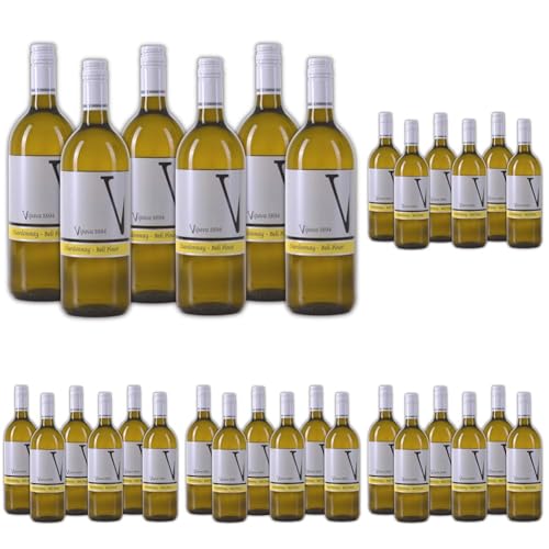 Vipava 1894 Weißwein-Cuvée Chardonnay/Beli Blanc 2022 Weißwein (6 x 1 l) (Packung mit 5) von VRTOVČAN