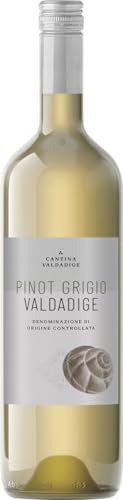 Valdadige Veronese Pinot Grigio DOC 2023 0.75 L Flasche von Valdadige Veronese