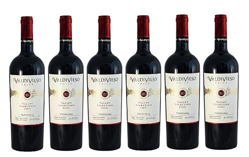 6x 0,75l - 2020er - Viña Valdivieso - Valley Selection - Gran Reserva - Carménère - Valle de Rapel D.O. - Chile - Rotwein trocken von Valdivieso