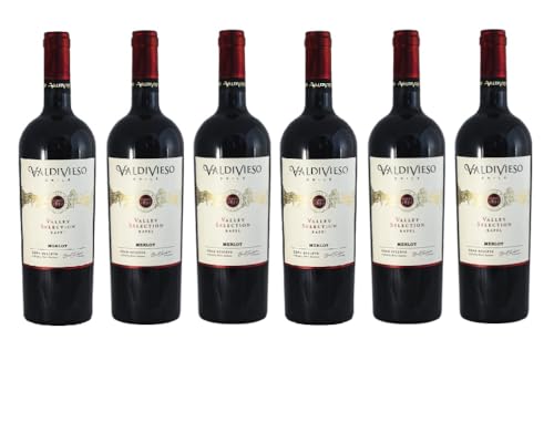 6x 0,75l - 2021er - Viña Valdivieso - Valley Selection - Gran Reserva - Merlot - Valle de Rapel D.O. - Chile - Rotwein trocken von Valdivieso