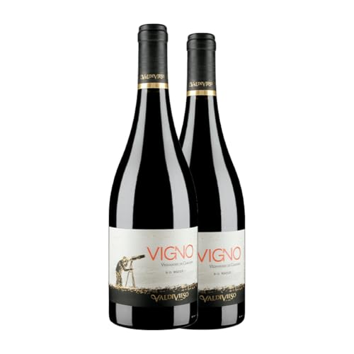 Valdivieso Éclat Vigno Vignadores Valle del Maule 75 cl Rotwein (Karton mit 2 Flaschen von 75 cl) von Valdivieso