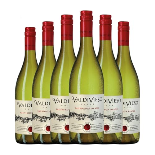 Valdivieso Sauvignon Weiß Valle Central 75 cl Weißwein (Karton mit 6 Flaschen von 75 cl) von Valdivieso