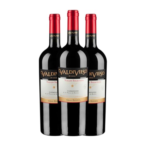 Valdivieso Valley Selection Carmenère Valle de Rapel 75 cl Rotwein (Karton mit 3 Flaschen von 75 cl) von Valdivieso