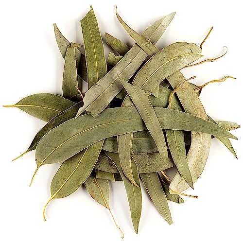 Eukalyptus Loseblatt Tee Biologischem Anbau – Eukalyptuskraut Tee Bio Eucalyptus Eukalyptus Tee Eukalyptus Bio Tee von Valley of Tea