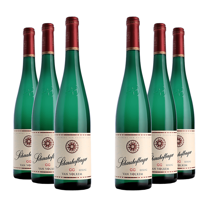 Van Volxem : Scharzhofberger Riesling Grosses Gewächs 2022 von Van Volxem