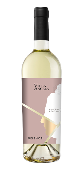 Pecorino Falerio DOC "Villa Angela" 2022 von Velenosi