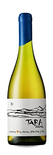 Tara Atacama Sauvignon - 2020 - Ventisquero von Ventisquero