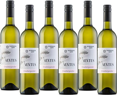 VENTUS Grauburgunder (Pinot Gris) 2021, von Hand gelesener trockener Weißwein (6 x 0,75 l) von Ventus