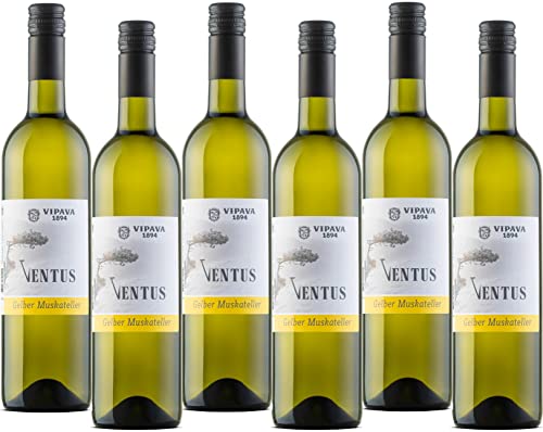 VENTUS Weißwein Gelber Muskateller 2021, von Hand gelesener lieblicher Weißwein (6 x 0.75 l) von Ventus