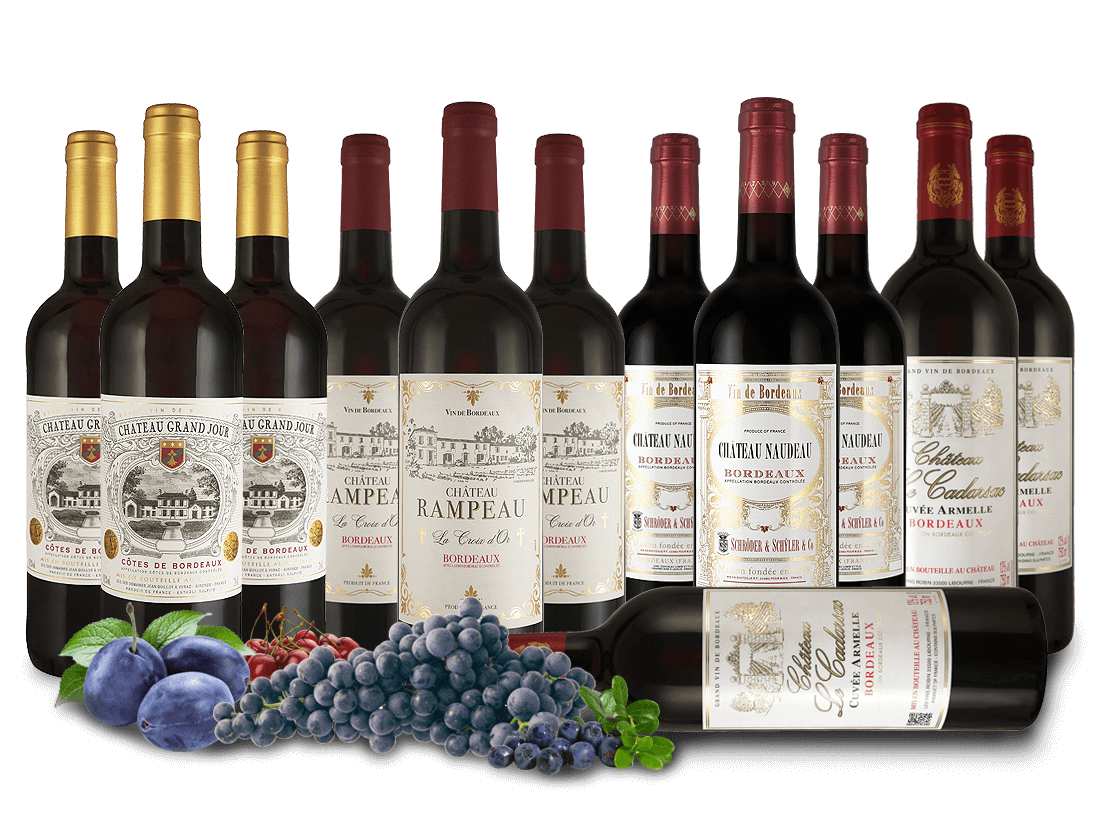Entdeckerpaket Bordeaux-Rotweine von Familien-Châteaux von Verschiedene