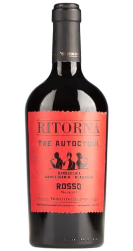 Vigneti del Salento Ritorna Tre Autoctoni | Rotwein | Italien - Vino Rosso – Italien | 1 x 0,75 Liter von Vigneti del Salento