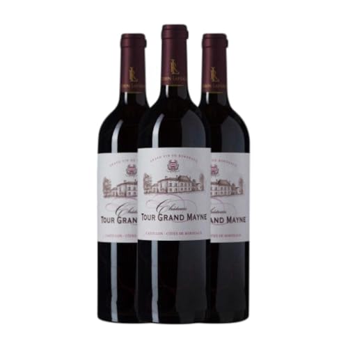 Robin Lafugie Château Tour Grand Mayne Tinto Bordeaux Alterung 75 cl Rotwein (Karton mit 3 Flaschen von 75 cl) von Vignobles Robin-Lafugie