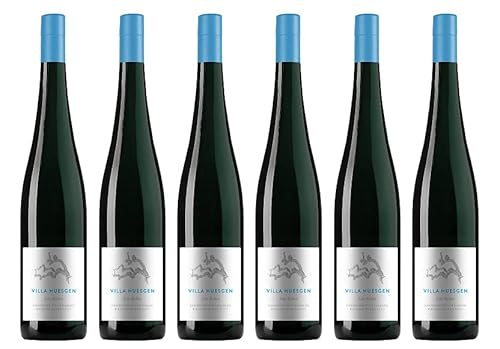 6x 0,75l - 2023er - Villa Huesgen - Alte Reben - wurzelecht - Riesling - Qualitätswein Mosel - Deutschland - Weißwein trocken von Villa Huesgen