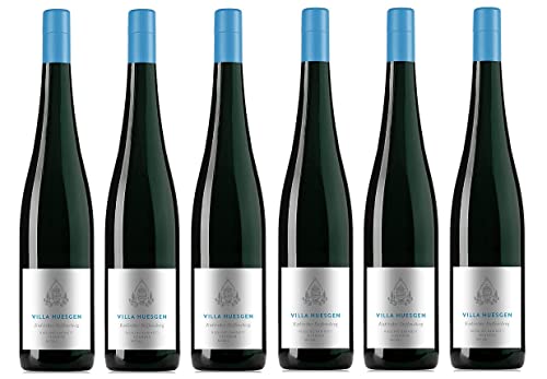 6x 0,75l - 2023er - Villa Huesgen - Enkircher Steffensberg - Riesling - Kabinett feinherb - Prädikatswein Mosel - Deutschland - Weißwein halbtrocken von Villa Huesgen