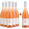 Villa Travignoli 2024 5+1 Paket Rosè Toscana IGP von Villa Travignoli