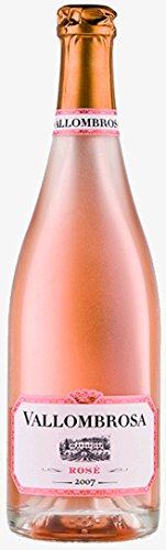 Villa Vallombrosa Vallombrosa Rosé Côte de Provence AOC 2016 (1 x 0.75 l) von Villa Vallombrosa