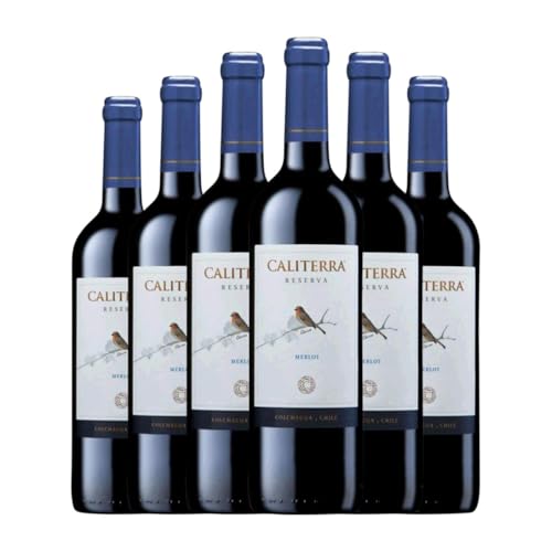 Vina Caliterra Merlot Valle de Colchagua Reserve 75 cl Rotwein (Karton mit 6 Flaschen von 75 cl) von Vina Caliterra