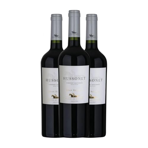 Viña Haras de Pirque Hussonet Cabernet Sauvignon Valle del Maipo Große Reserve 75 cl Rotwein (Karton mit 3 Flaschen von 75 cl) von Viña Haras de Pirque