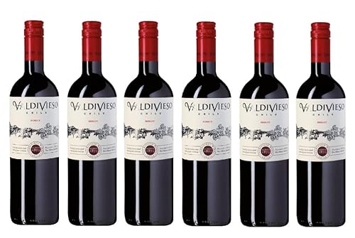 6x 0,75l - 2022er - Viña Valdivieso - Merlot - Valle Central D.O. - Chile - Rotwein trocken von Viña Valdivieso