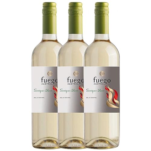 Viña Ventisquero Fuego Austral Sauvignon Weiß Valle Central 75 cl (Schachtel mit 3 Flaschen von 75 cl) von Viña Ventisquero