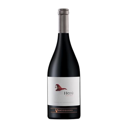 Viña Ventisquero Herú Spätburgunder Valle del Maipo Alterung 75 cl Rotwein von Viña Ventisquero