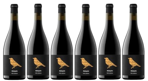 6x 0,75l - Viña Zorzal - Malayeto - Navarra D.O.P. - Spanien - Rotwein trocken von Viña Zorzal