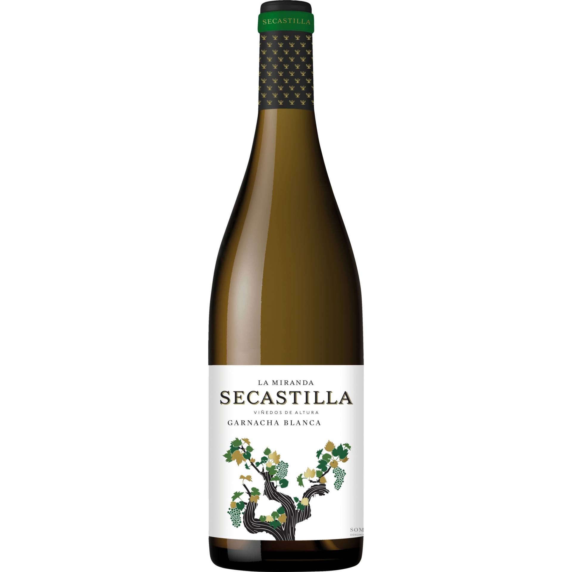 La Miranda de Secastilla Blanca, Trocken, Aragonien, Aragonien, 2022, Weißwein von Vinas del Vero,22300,Barbastro,Spanien