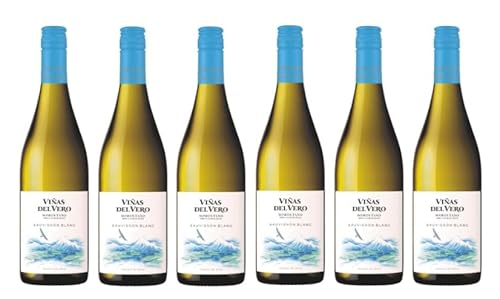 6x 0,75l - 2023er - Viñas del Vero - Sauvignon Blanc - Somontano D.O.P. - Spanien - Weißwein trocken von Vinas del Vero