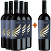 Xenysel 2022 5+1 Paket Xenys 12 Meses Jumilla DO von Viñedos y Bodegas Xenysel