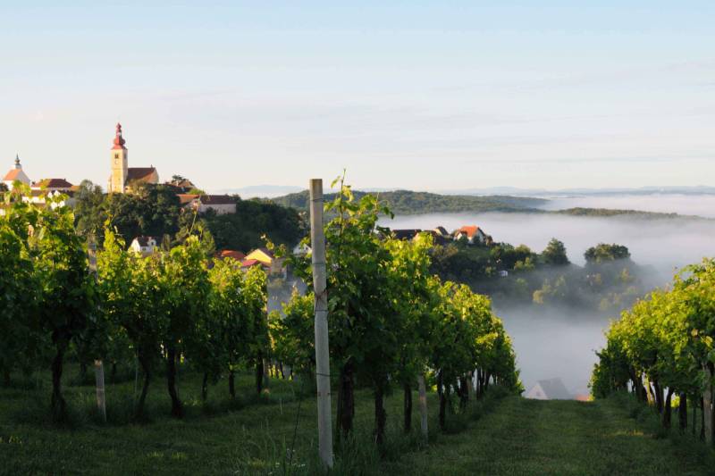 Duascht is schlimma ois Hamweh! – Großer Weinabend mit 12 Weinen aus Österreich und anderen Regionen von Vinocentral