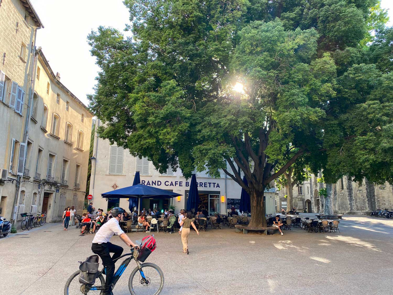 Tour de France | Großer Weinabend mit 12 französischen Weinen von Vinocentral