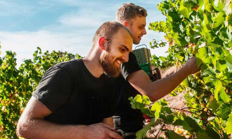 Wine-Dining mit den Winzern Christian & Martin Hannemann von Weingut Heiligenblut von Vinocentral