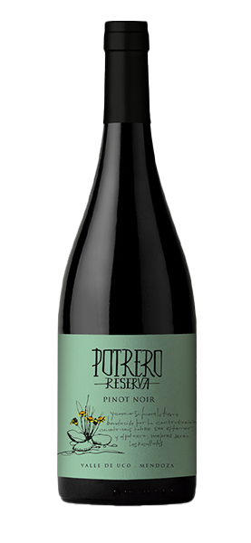 Potrero Reserva Pinot Noir 2021 von Vinos de Potrero