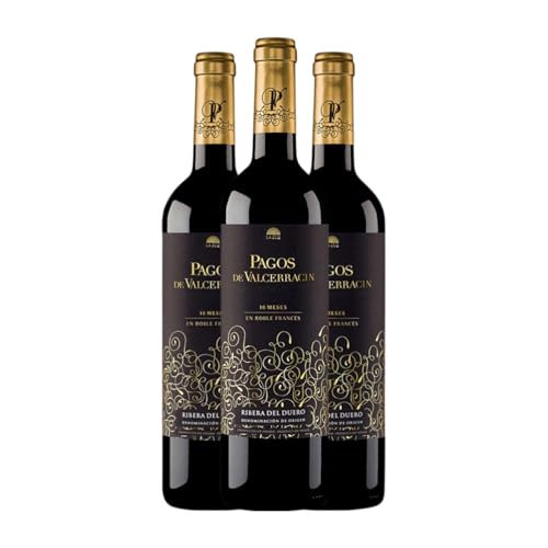 Pagos de Valcerracín 10 Meses Tempranillo Ribera del Duero Alterung 75 cl Rotwein (Karton mit 3 Flaschen von 75 cl) von Vinos de la Luz - Pagos de Valcerracín