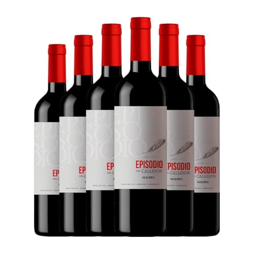 Pagos de Valcerracín Callejón del Crimen Episodio Malbec Valle de Uco 75 cl Rotwein (Karton mit 6 Flaschen von 75 cl) von Vinos de la Luz - Pagos de Valcerracín