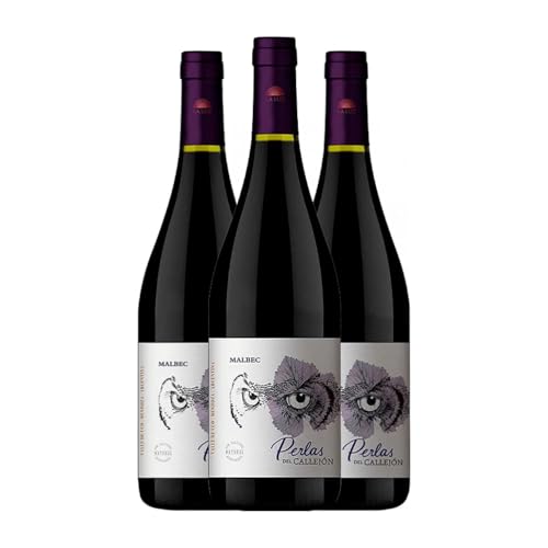 Pagos de Valcerracín Callejón del Crimen Perlas del Callejón Malbec Gualtallary 75 cl Rotwein (Karton mit 3 Flaschen von 75 cl) von Vinos de la Luz - Pagos de Valcerracín