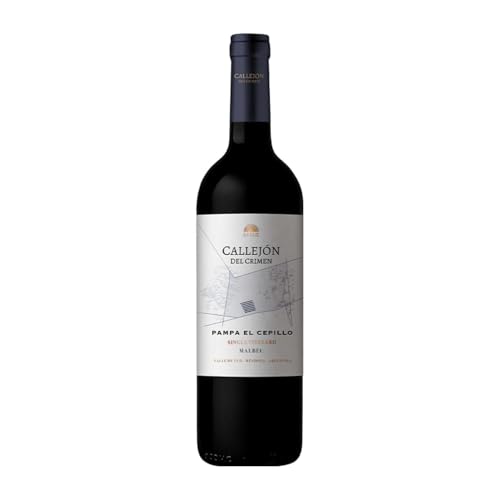 Pagos de Valcerracín Callejón del Crimen Single Vineyard El Cepillo Malbec Valle de Uco 75 cl Rotwein von Vinos de la Luz - Pagos de Valcerracín