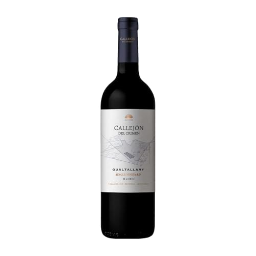 Pagos de Valcerracín Callejón del Crimen Single Vineyard Malbec Gualtallary 75 cl Rotwein von Vinos de la Luz - Pagos de Valcerracín