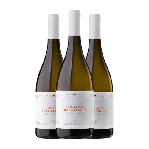 Vinosìa Fontana della Loggia Falanghina Irpinia Falanghina 75 cl Weißwein (Karton mit 3 Flaschen von 75 cl) von Vinosìa