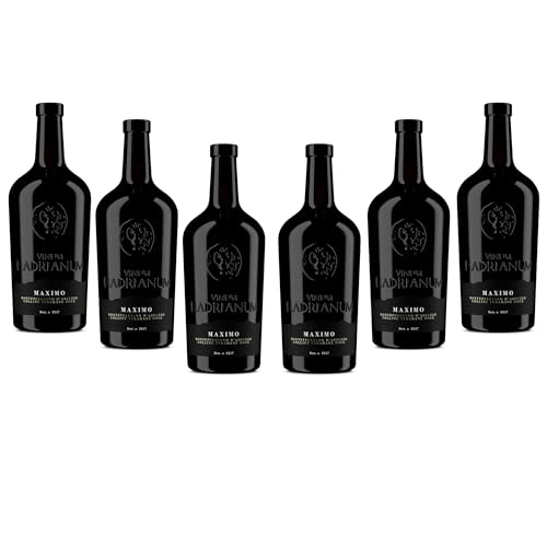 6 Bottles Italian MAXIMO 2021 Red Wine (Color Bright Ruby) Montepulciano D'Abruzzo by Vinum Hadrianum | Colline Teramane DOCG Embrace Wine | Excellence in Every Sip - (Each Bottle 750 ml) von Vinum Hadrianum