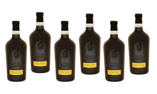 6 Bottles Italian PUBLICIUS 2021 Vino Cerasuolo DOC Affinato in Anfora di Argilla by Vinum Hadrianum | UVE 100% Montepulciano DOC | - (Each Bottle 750 ml) von Vinum Hadrianum