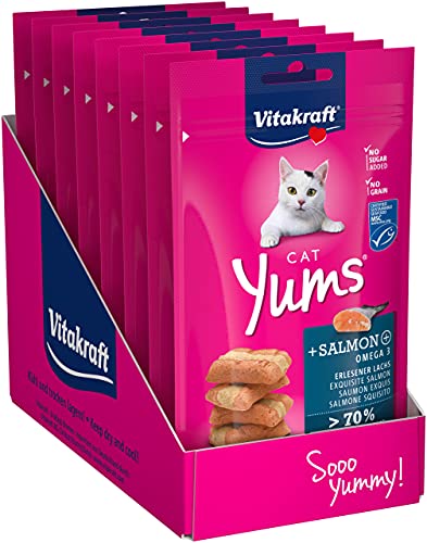 Vitakraft Katzensnack Cat YUMS Plus Lachs - 9 x 40g von Vitakraft