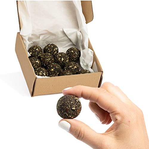 Vitalityballs - 12x Natürliche Energyballs "Green Protein" ohne zusätzlichem Zucker 100 % Vegan - Eiweiß Energie Kugeln Power Snacks - Energie Bällchen mit Datteln von Vitalityballs