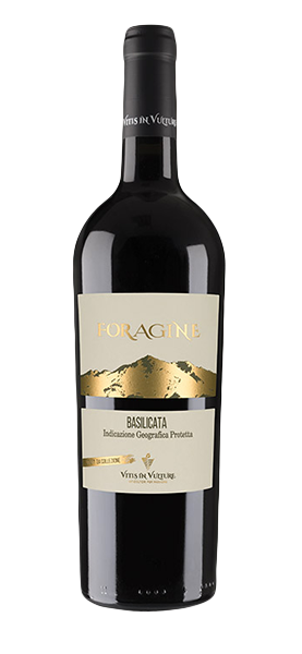 "Foragine" Rosso Basilicata IGT 2019 von Vitis in Vulture