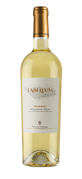 "Labellum" Dry Muscat Basilicata IGT 2023 von Vitis in Vulture