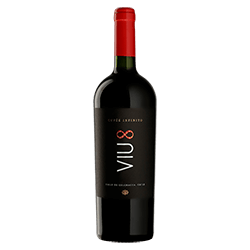 Viu Manent : Viu 8 Cuvée Infinito 2018 von Viu Manent