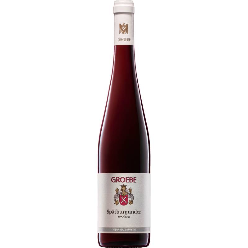 Groebe Spätburgunder, Trocken, Rheinhessen, Rheinhessen, 2023, Rotwein von WEINGUT K F GROEBE - Mainzer Straße 18, 67593 Westhofen - DE