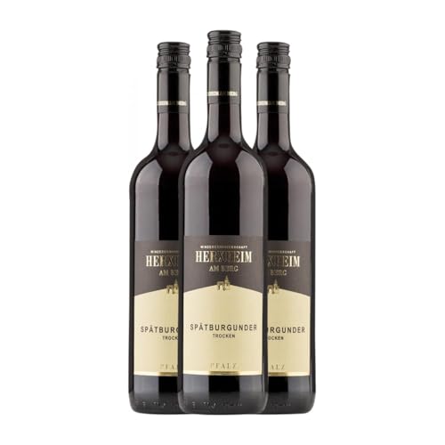 Herxheim am Berg Kobnert Spätburgunder Trocken Pfälz 75 cl Rotwein (Karton mit 3 Flaschen von 75 cl) von WG Herxheim am Berg