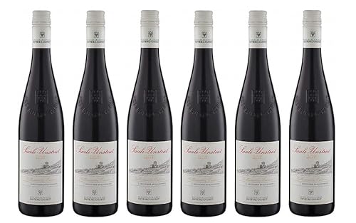 6x 0,75l - 2022er - WV Freyburg-Unstrut - Kellermeister - Edition rot - Qualitätswein Saale-Unstrut - Deutschland - Rotwein trocken von WV Freyburg-Unstrut