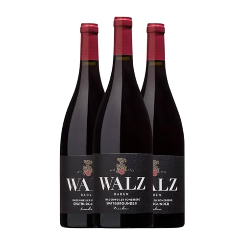 Walz Maltesergarten Alte Reben Spätburgunder Baden 75 cl Rotwein (Karton mit 3 Flaschen von 75 cl) von Walz